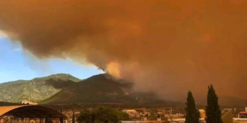 Incendio forestal en Libres y Atltzayanca dejó más de 20 hectáreas afectadas