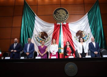 Lupita Cuautle Participa en Foros del Congreso de la Unión con Enfoque en el Hábitat y la Infancia