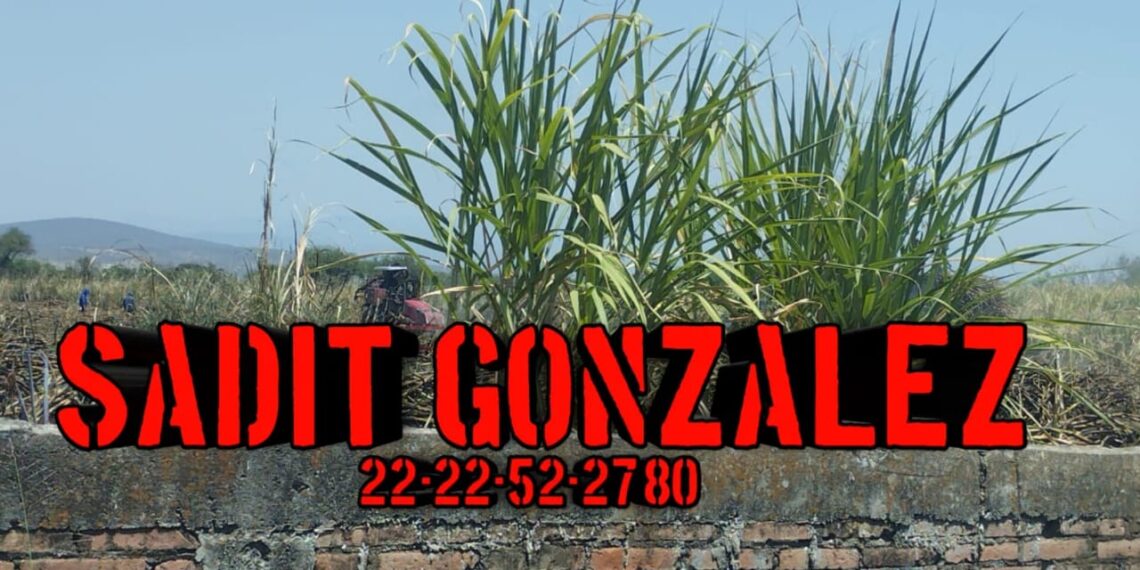 Hombre muere calcinado en un cañaveral de Izúcar de Matamoros