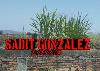Hombre muere calcinado en un cañaveral de Izúcar de Matamoros