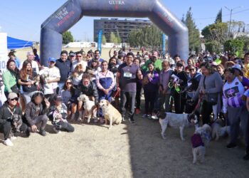 Gordita, la perrita rescatada en Cuautlancingo, será adoptada en Canadá