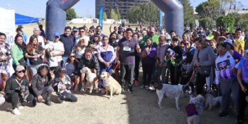 Gordita, la perrita rescatada en Cuautlancingo, será adoptada en Canadá