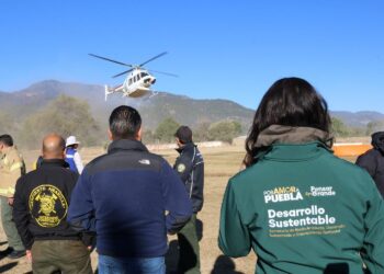 Incendios forestales en Puebla y Tlaxcala son combatidos con operativo aéreo y terrestre