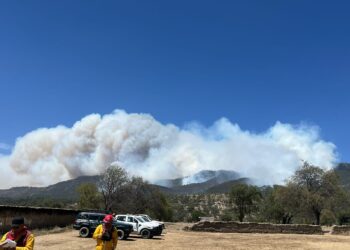 Continúa combate a incendios forestales en Puebla