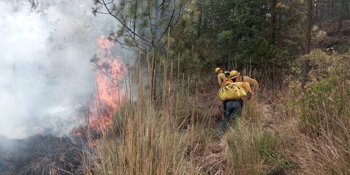 Incendio forestal en Tlachichuca fue extinguido al 100 %