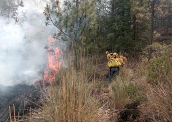 Incendio forestal en Tlachichuca fue extinguido al 100 %