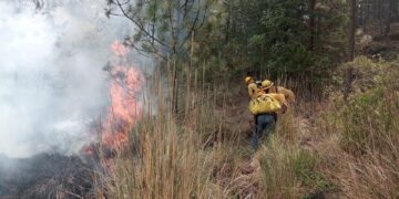 Incendio forestal en Tlachichuca fue extinguido al 100 %