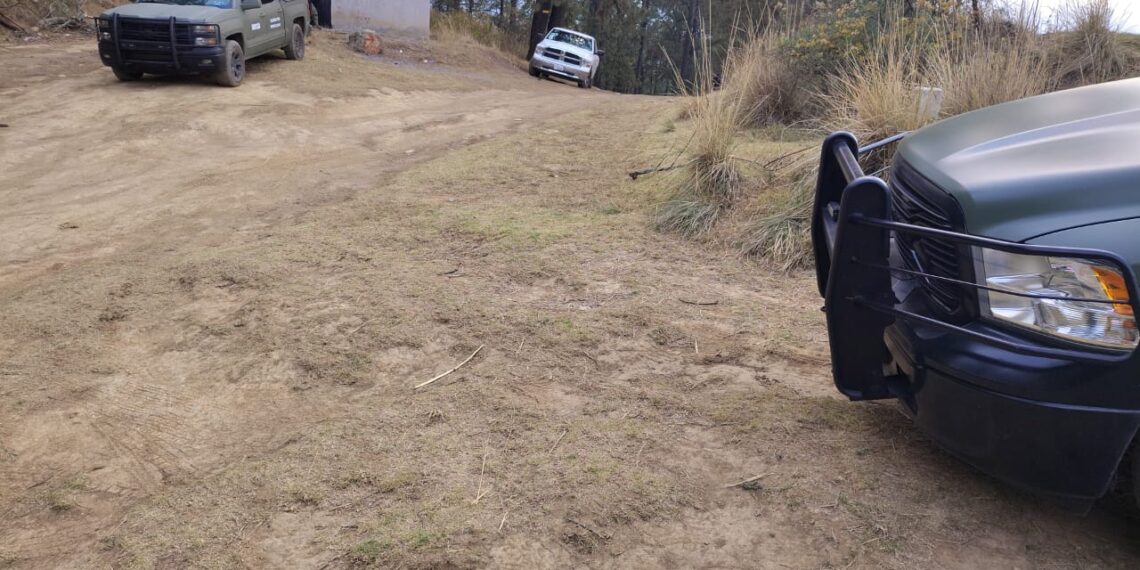 Hallan fosa clandestina con cadáveres semienterrados en Tlahuapan
