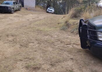 Hallan fosa clandestina con cadáveres semienterrados en Tlahuapan