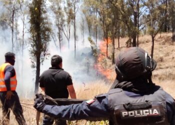 Más de 20 incendios sofocados en el Zapotecas