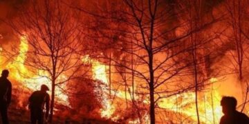 Conafor reporta 37 incendios forestales activos en México: más de 9,800 hectáreas afectadas