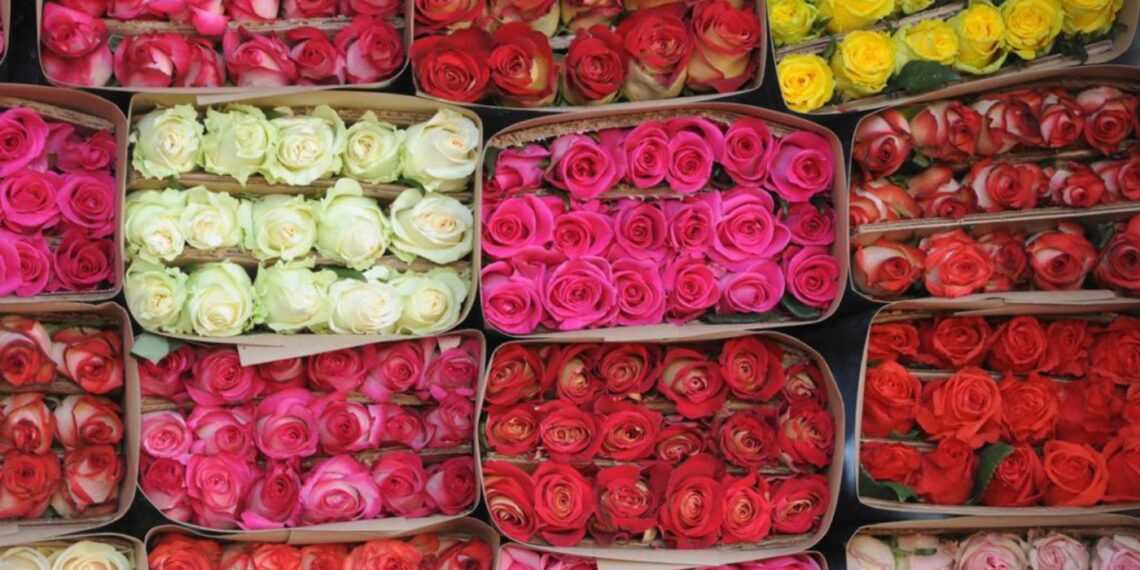 Impacto del Cambio Climático en la Floricultura en Huejotzingo