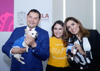 ¿Ya conoces es el stand del IBA en la Feria de Puebla? Apóyalos donando o adoptando