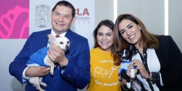 ¿Ya conoces es el stand del IBA en la Feria de Puebla? Apóyalos donando o adoptando