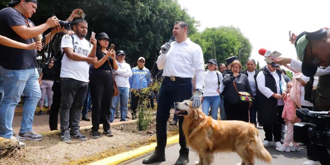 Puebla contará con 27 Casas de Seres Sintientes para proteger y cuidar a los animales