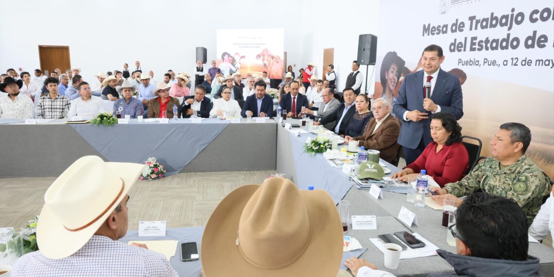 Alejandro Armenta reitera compromiso con el sector ganadero: “el campo no puede esperar”