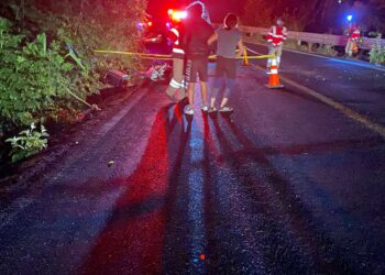 Motociclista de Teziutlán pierde la vida tras ser arrollado en la Amozoc–Nautla, a la altura de Tlatlauquitepec