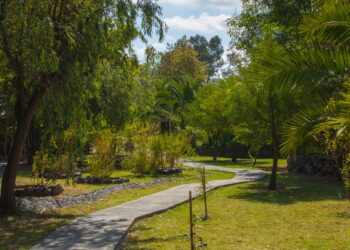 Convenciones y Parques implementa gestión integral del arbolado en el Parque Metropolitano y el Paseo del Río