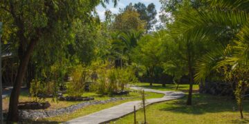 Convenciones y Parques implementa gestión integral del arbolado en el Parque Metropolitano y el Paseo del Río