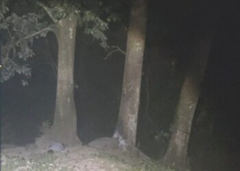 Encuentran sin vida a joven reportado como desaparecido en Xicotepec de Juárez