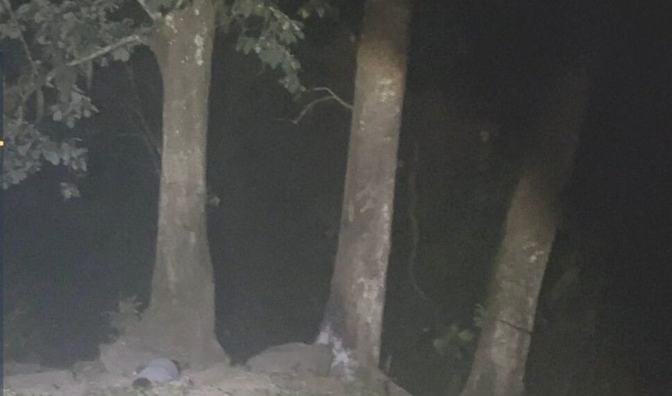 Encuentran sin vida a joven reportado como desaparecido en Xicotepec de Juárez