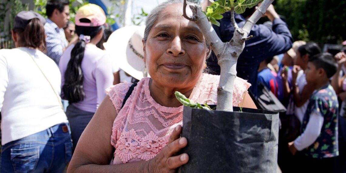 San Andrés Cholula impulsa la reforestación con la campaña “Adopta un Árbol”