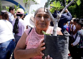 San Andrés Cholula impulsa la reforestación con la campaña “Adopta un Árbol”
