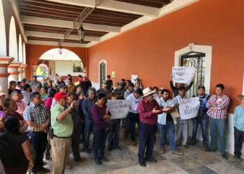 Protesta por mutilación de árbol histórico en zona centro en Ocotlán de Betancourt