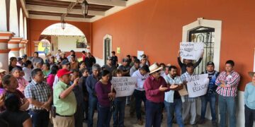 Protesta por mutilación de árbol histórico en zona centro en Ocotlán de Betancourt