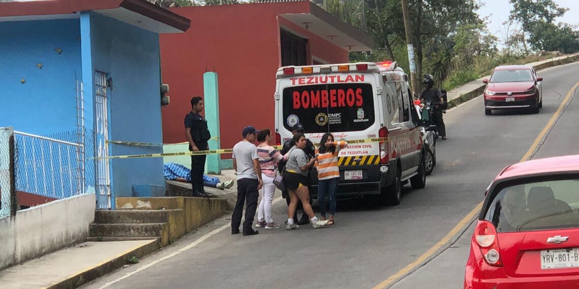 Abejas asesinas atacan a motociclista en Teziutlán; muere por infarto