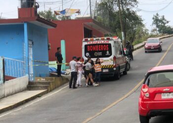 Abejas asesinas atacan a motociclista en Teziutlán; muere por infarto