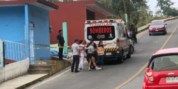 Abejas asesinas atacan a motociclista en Teziutlán; muere por infarto