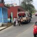 Abejas asesinas atacan a motociclista en Teziutlán; muere por infarto