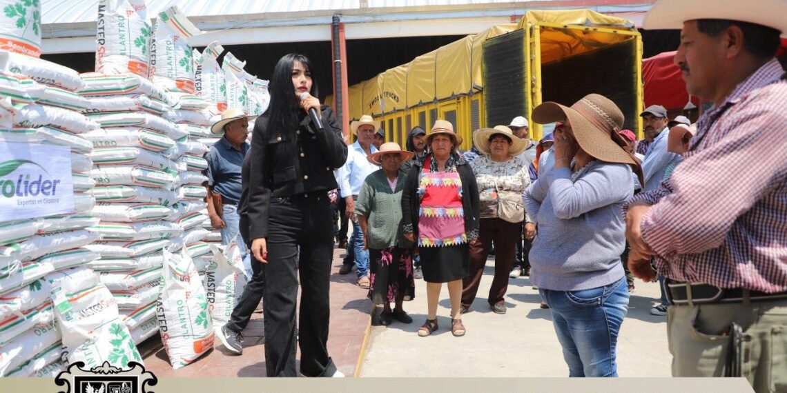 Ayuntamiento de Quecholac entrega apoyo a agricultores afectados por granizadas