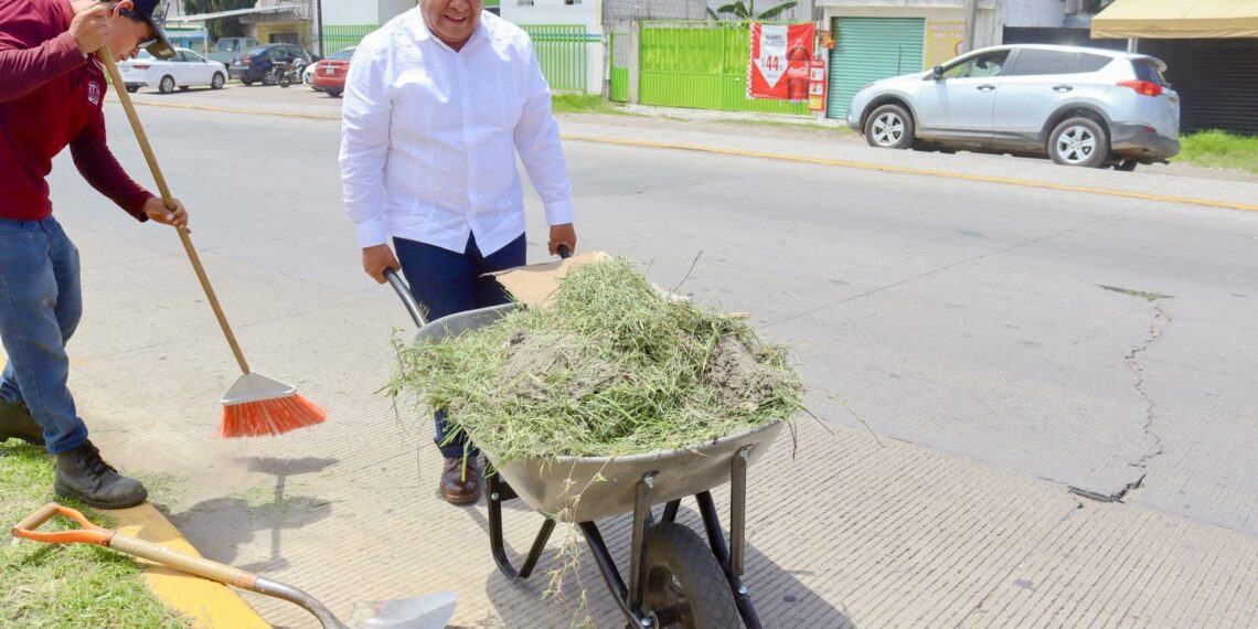 Amozoc impulsa programa intensivo de limpieza y reforestación en el camellón central
