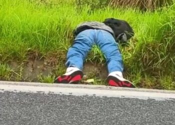 Hallaron a hombre sin vida en Zaragoza