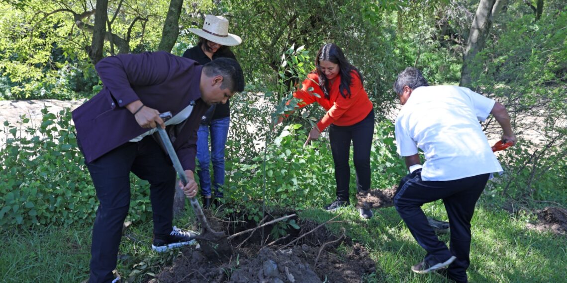 Encabeza Omar Muñoz jornada de reforestación en San Lorenzo Almecatla