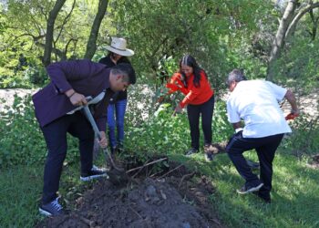 Encabeza Omar Muñoz jornada de reforestación en San Lorenzo Almecatla