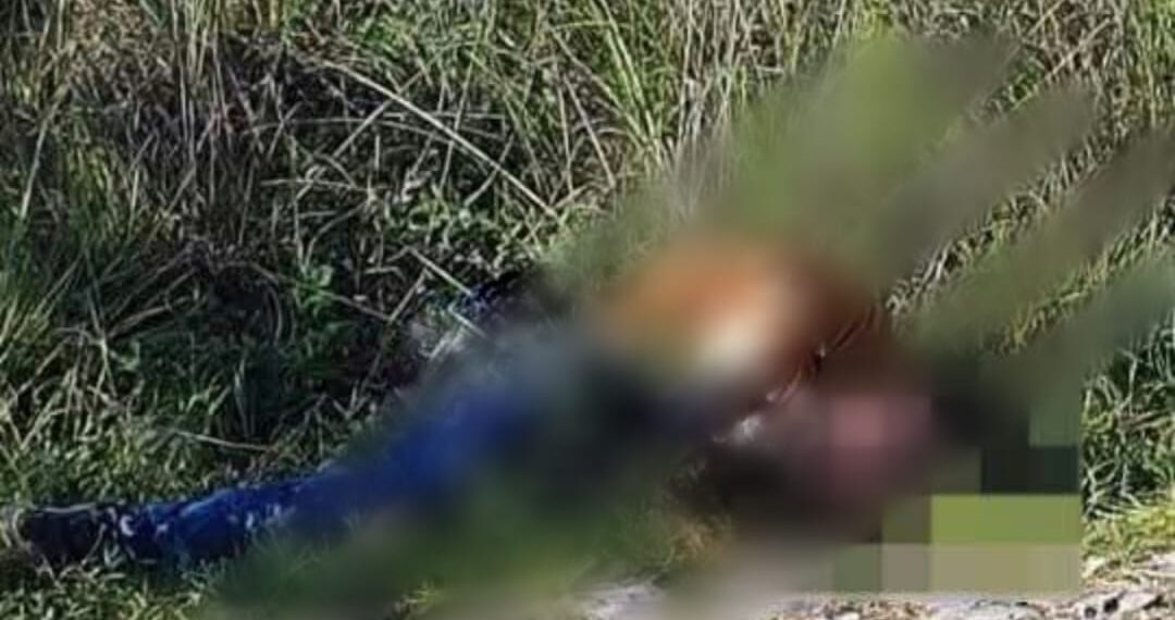 Tiran dos cadáveres en carretera Huajuapan-Acatlán a la altura de Zapotitlán Palmas