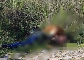 Tiran dos cadáveres en carretera Huajuapan-Acatlán a la altura de Zapotitlán Palmas