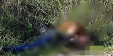 Tiran dos cadáveres en carretera Huajuapan-Acatlán a la altura de Zapotitlán Palmas