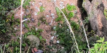 Se salva de milagro al caer a una barranca