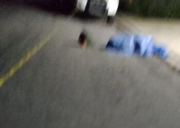 Muere al ser atropellado en Amozoc