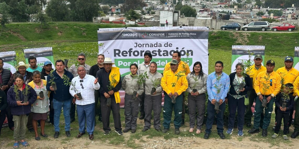 Reforestan el jagüey del barrio de La Preciosa en Amozoc