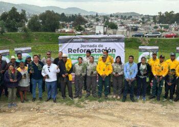 Reforestan el jagüey del barrio de La Preciosa en Amozoc