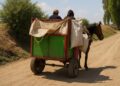 Texmelucan prohíbe el uso de caballos para recolectar basura: habrá multas y arrestos para quien no acate