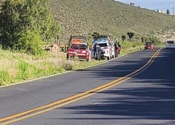 Localizan al menos 8 cuerpos desmembrados y embolsados en Nicolás Bravo.