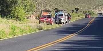 Localizan al menos 8 cuerpos desmembrados y embolsados en Nicolás Bravo.