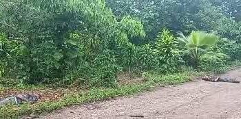 Localizan a dos hombres asesinados en Xicotepec