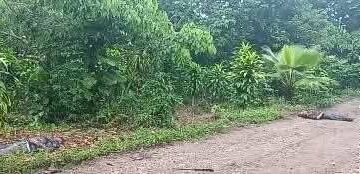 Localizan a dos hombres asesinados en Xicotepec